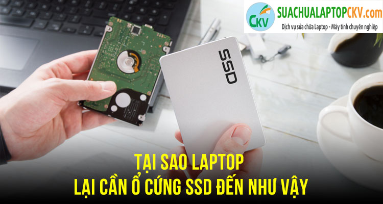 Tại sao laptop lại cần SSD đến như vậy?